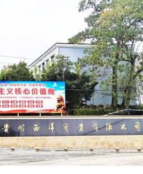 貴州西洋實業(yè)項目--借助眾升科技10KV戶外箱變式無功補償裝置,功率因數(shù)達(dá)標(biāo)!