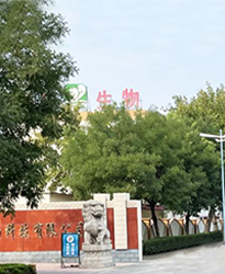 眾升科技高壓無功補償柜 --助力山東福洋生物科技股份有限公司,高效用電、改善用電質(zhì)量！