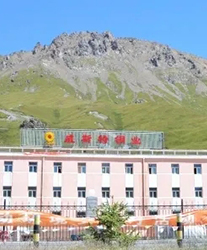 眾升科技系統輕載補償裝置--助力青海威斯特銅業有限責任公司,高效用電、改善電能質量!